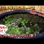 Thumbnail of related posts 040