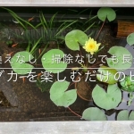 Thumbnail of related posts 115