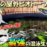 Thumbnail of related posts 017