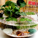 Thumbnail of related posts 053