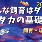 Thumbnail of post image 133