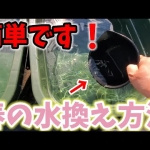 Thumbnail of post image 099