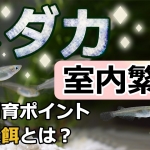 Thumbnail of post image 050