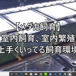 Thumbnail of related posts 109