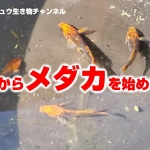 Thumbnail of post image 149