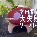 Thumbnail of post image 011