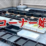 Thumbnail of post image 004