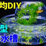 Thumbnail of post image 099