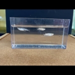 Thumbnail of post image 160