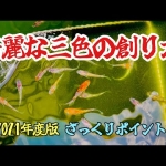 Thumbnail of post image 006