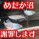 Thumbnail of post image 068