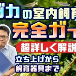 Thumbnail of related posts 051