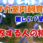 Thumbnail of related posts 066