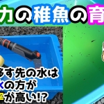 Thumbnail of related posts 016