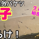 Thumbnail of related posts 040