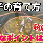 Thumbnail of post image 155