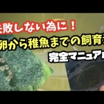 Thumbnail of post image 138