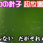 Thumbnail of post image 145