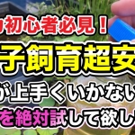 Thumbnail of post image 170