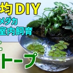 Thumbnail of post image 095