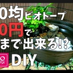 Thumbnail of post image 165