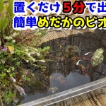 Thumbnail of post image 010