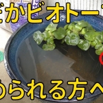 Thumbnail of post image 001